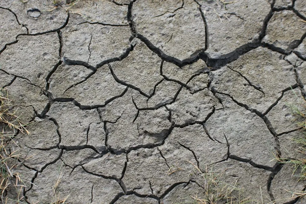 Day Zero: Cape Town and the water crisis