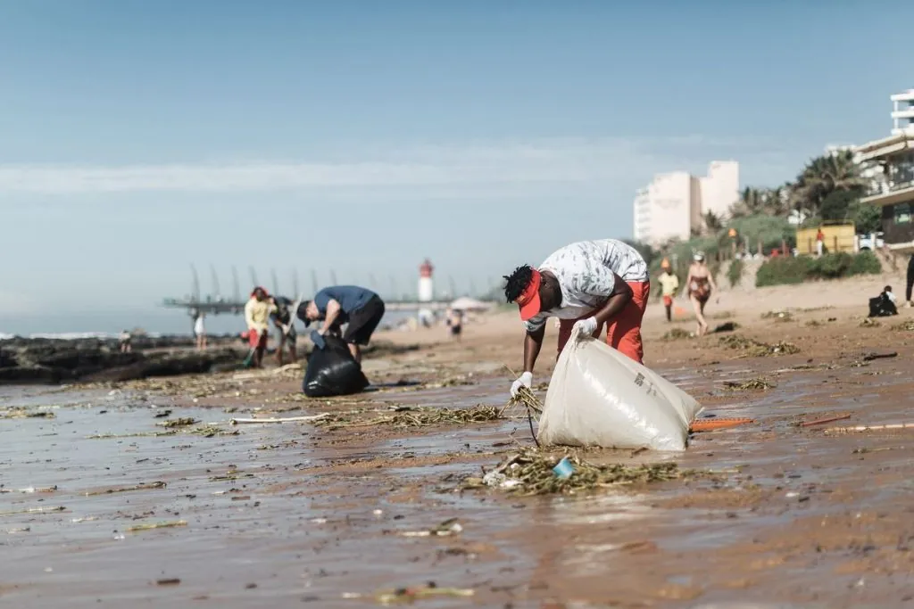 Desafíos ambientales en Cape Town