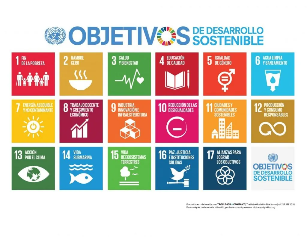 Los Objetivos de Desarrollo Sostenible (ODS)