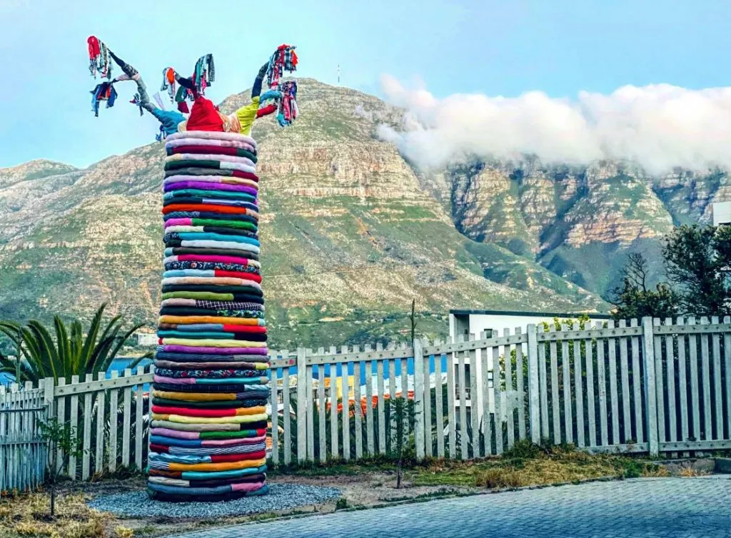 Transparencia Meraki Bay